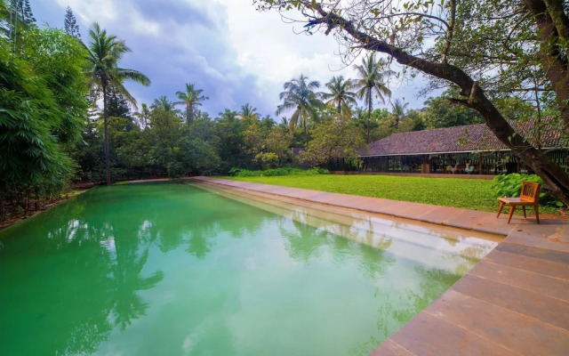 The Orchard Resort