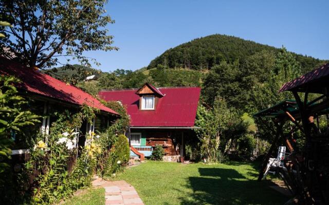 Casa de vacanta Vidrighin