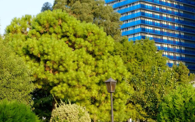 ORBI CITY 3441 Sky Apartment