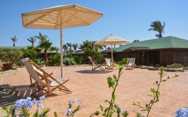 Abu Dabbab Diving Lodge