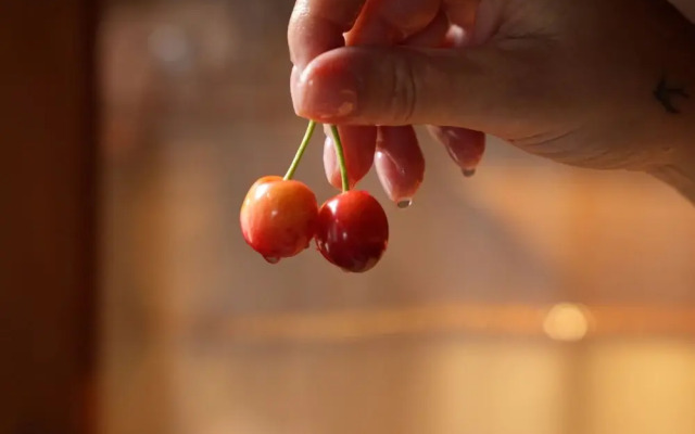 Stay Horizon P1 Milies