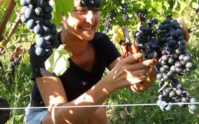 Domaine Xavier Jacqueline
