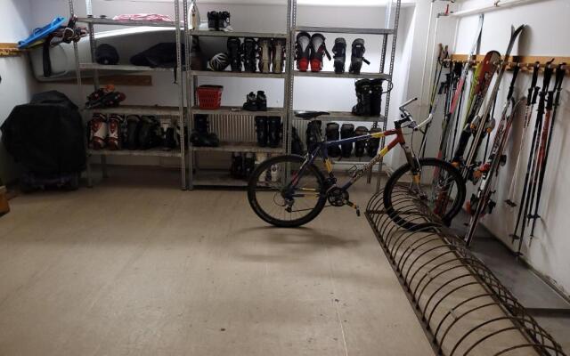 Cool Studio - Apartment in Gosau - Hallstatt - Wellness and Pool included