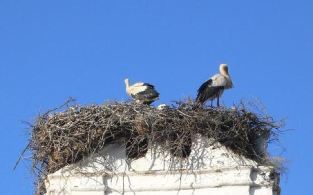 Alandroal Guest House - Solar de Charme