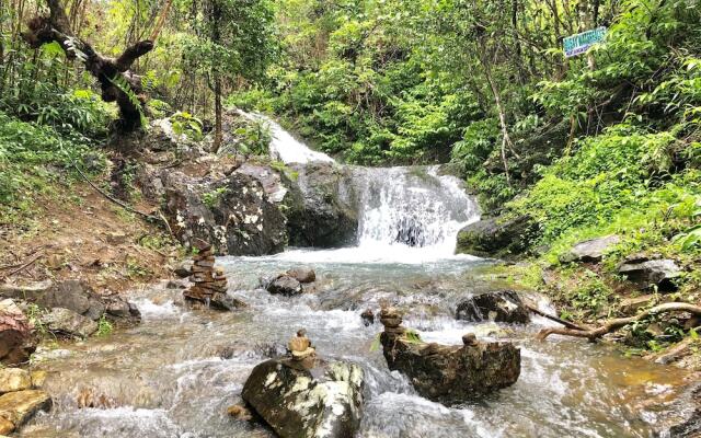 Mount Avangan Eco Adventure Park