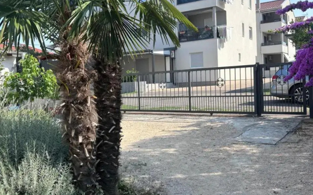 Apartment Antare