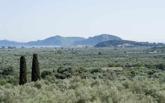 Luxury Villa The Olive Retreat