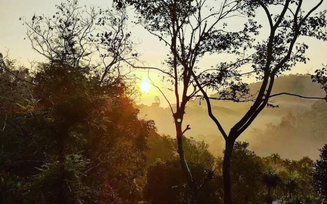 Wayand Whistling Woods