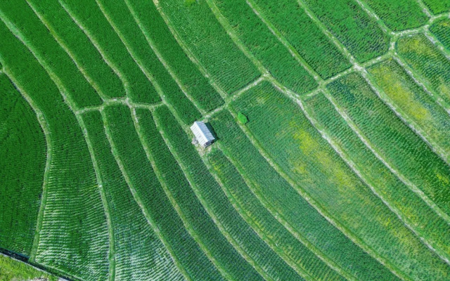 Thrive - A Liv Life Hotel