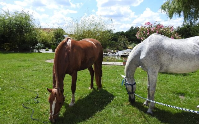 Maison d'Hôtes La Quèrière