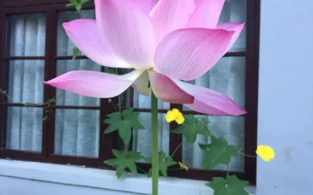 Youjian Nanshan Hotel