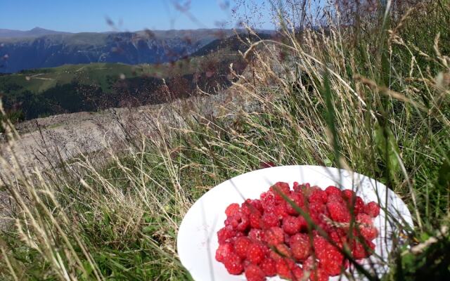 Migroras Otel & Restaurant - Karestel Yaylasi