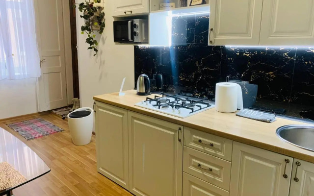 Centr Opera House 2 rooms