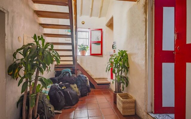 Botanico Hostel