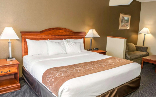 Comfort Suites Auburn near I-69
