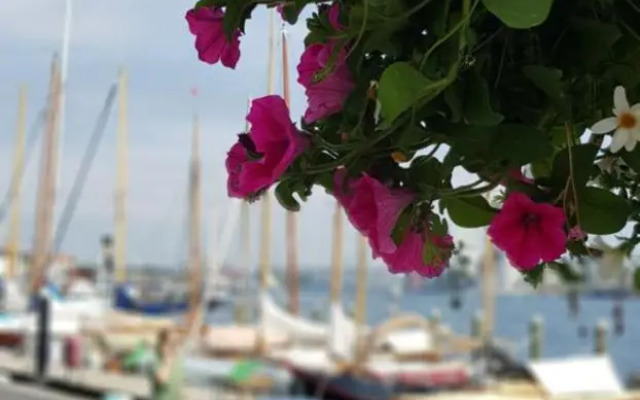 Strandkoje