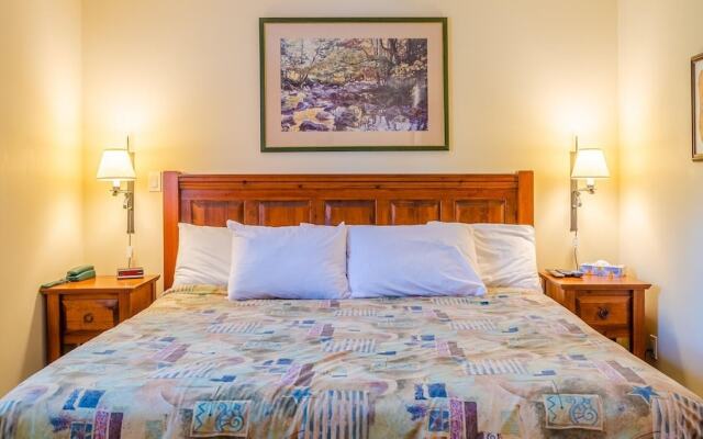 Timberline Village #38 By Bear Country