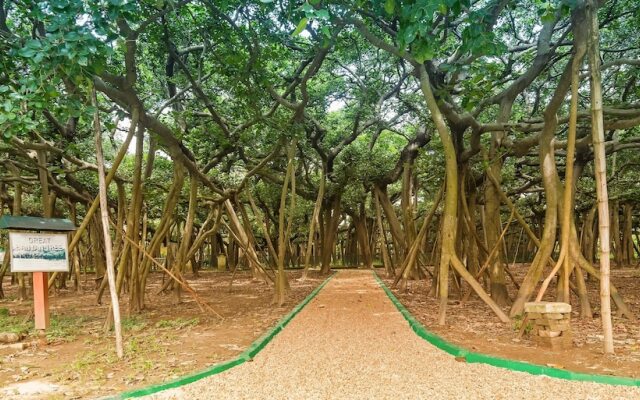 OYO 3586 SSR Luxury Rooms