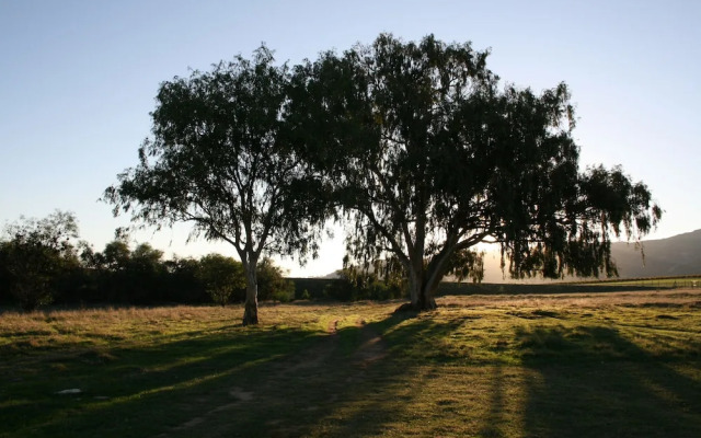 Denneboom Vineyards and Wildlife