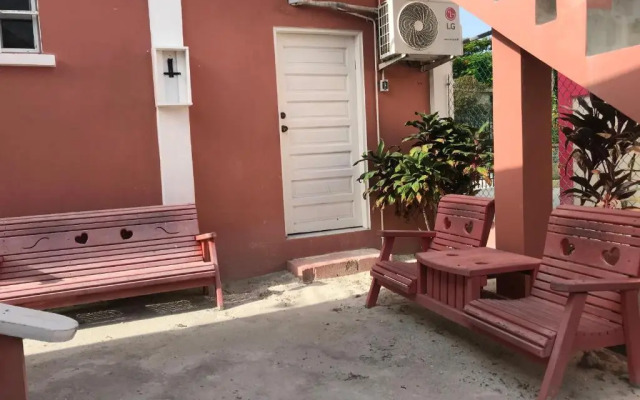 Tropical Paradise Express