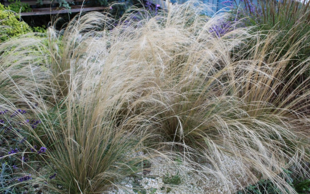 Sea Glimpses with free parking and garden