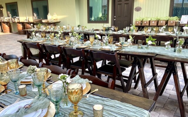 Organic Beach Retreat