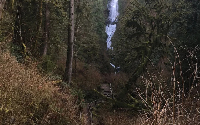 Tillamook Bay City RV Park