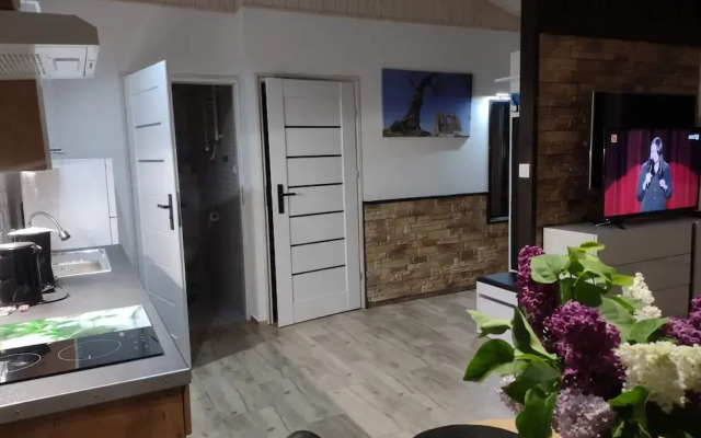 Comfortable Holiday Homes, Swimming Pool, Rewal.-formerly TUI Ferienhaus
