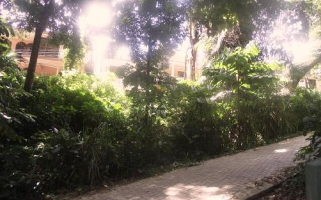 Forest View Homestay