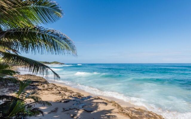 Ventana al Atlantico at Arecibo 681 Ocean Drive