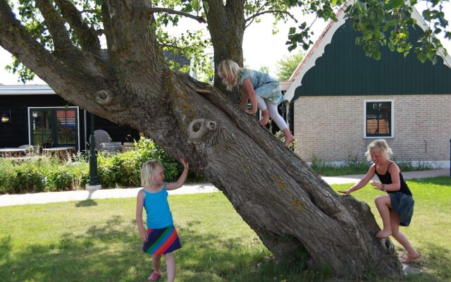 Comfy Villa in Wieringer Style near Wadden Sea