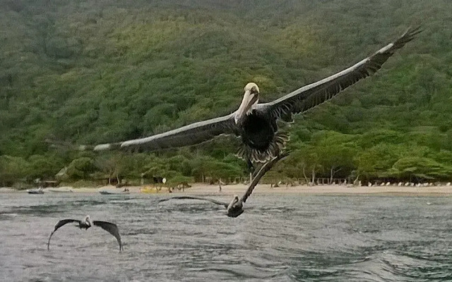 Hostal Olas Club De Neguanje - P Tayrona