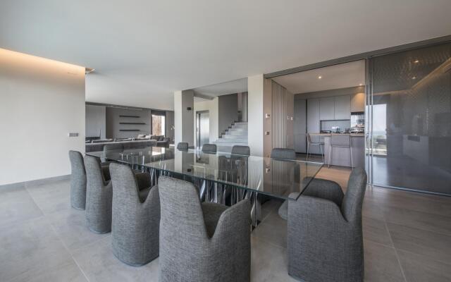 TH85-Limonium-9 in Tarragona