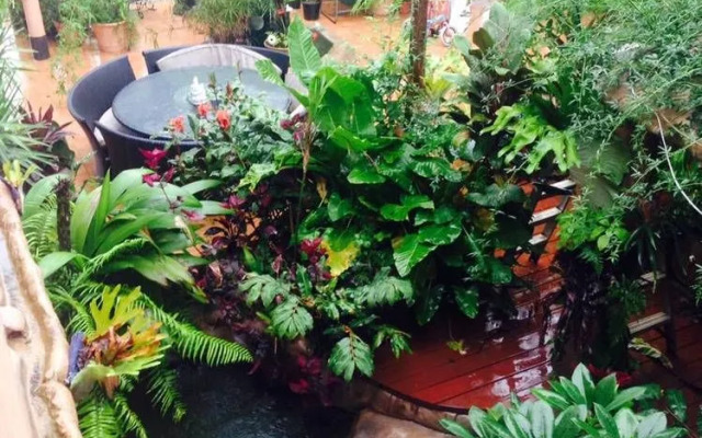 Ruah Rain Forest Retreat