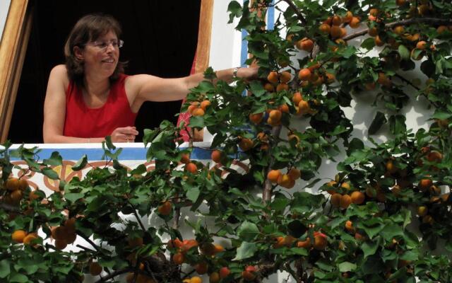 Apartment Puciacia - Bauernhof