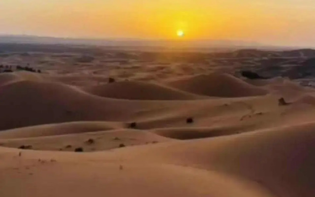 Royal Desert Bivouac
