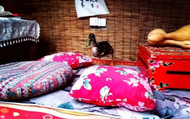 Xixi Guesthouse