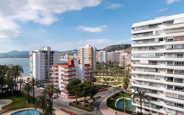 Florazar 2, Viii-8-B