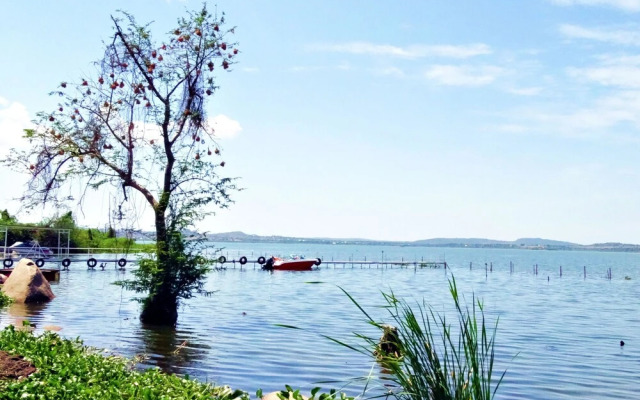 Rocky Bay Resort  Camping