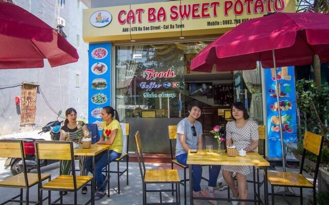 Cat Ba Sweet Potato