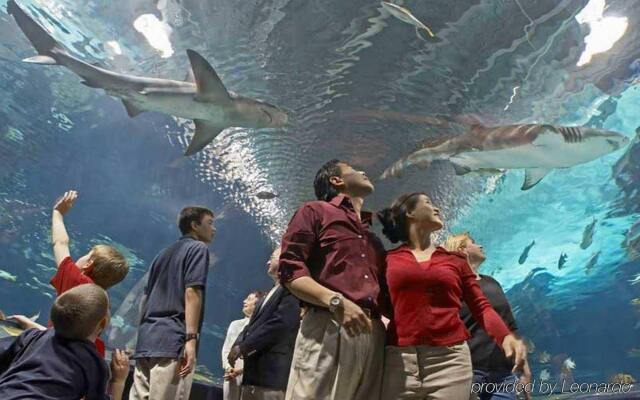 Hampton Inn Cincinnati Airport South