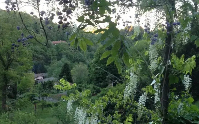 Villa Delle Camelie