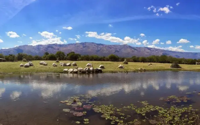 Arabela Casas de Campo y Suites