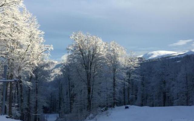 Guesthouse Montemno