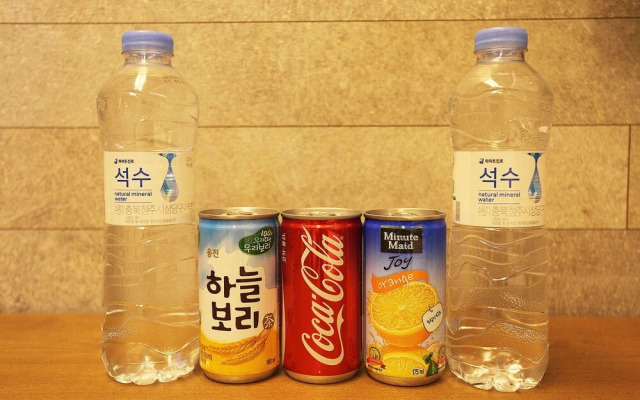 Seoul National University Station Dam