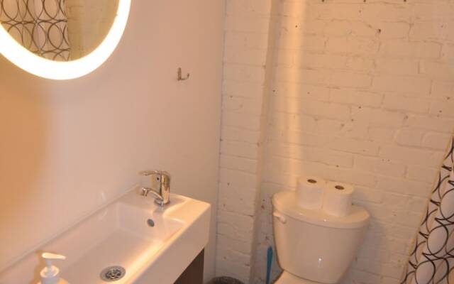 Comfortable Lofts in Downtown Toronto