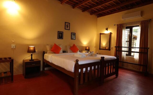 Avadale Coorg Stag - Groups Not Allowed