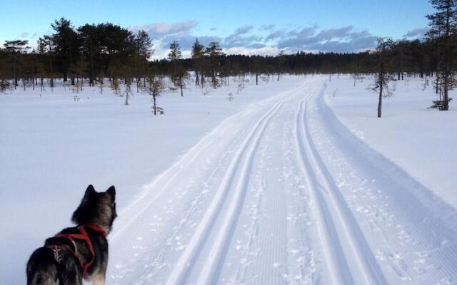 Finnskogen Turistsenter