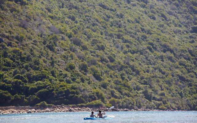 Under Milkwood Resort