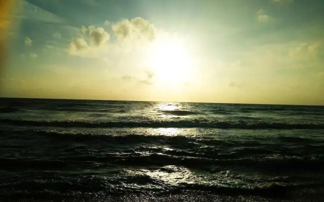 Olas Negombo